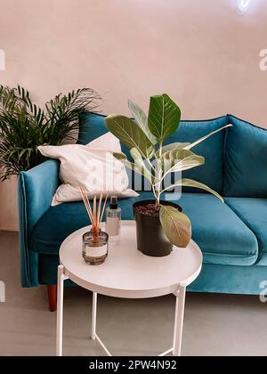 Moderno y acogedor interior espacioso con sofá azul y mesa redonda blanca.  Perfume, palitos de incienso y una maceta están en la mesa. Un gran plan de  casa verde Fotografía de stock 