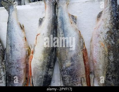 Fresco un pescado congelado hielo en el supermercado 27541498 Foto de stock  en Vecteezy