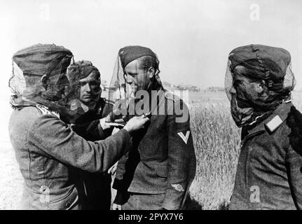 Soldados alemanes prueban mosquiteros. El soldado en el centro lleva una insignia de actividad de personal técnico de aviación en su manga. Foto: Bütow. [traducción automatizada] Foto de stock