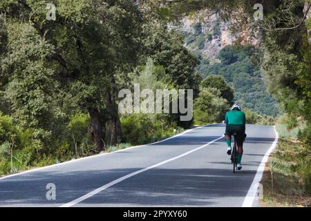 Ciclismo en España (Mallorca) Foto de stock