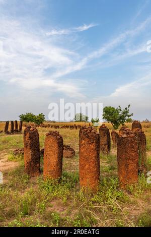 Sitio de la UNESCO Círculos de piedra senegambianos, Wassu, Gambia Foto de stock