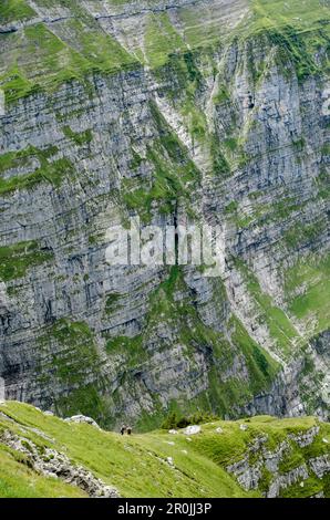 Dos excursionistas que descienden de la cumbre del Vorder Glaernisch, macizo montañoso de Glaernisch, Alpes de Glarus, cantón de Glarus, Suiza Foto de stock
