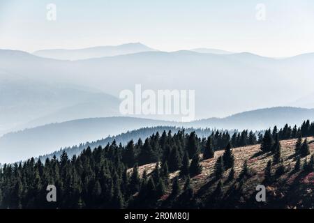 Montañas escalonadas en la neblina, en Hohneck, Col de la Gorge, Vosgos, Alsacia-Lorena, Francia Foto de stock