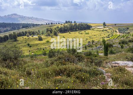 El Monte Merón es una montaña en la región de la Alta Galilea de Israel