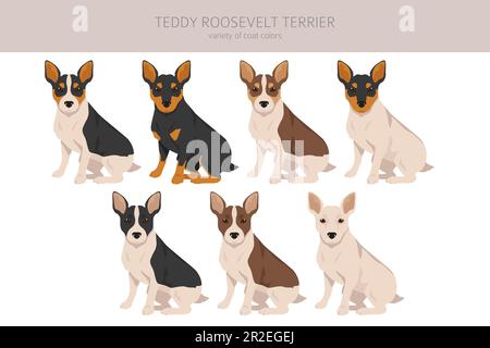 cuanto cuesta el mantenimiento de un teddy roosevelt terrier