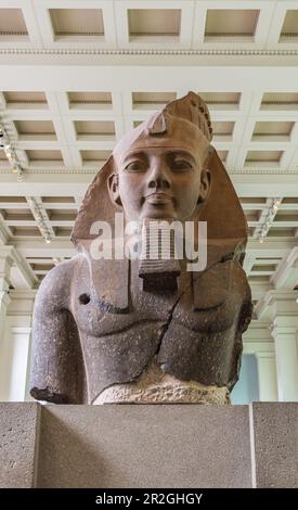 Estatua del Rey Ramsés II (1250 a.C.) en el Museo Británico de Londres Foto de stock