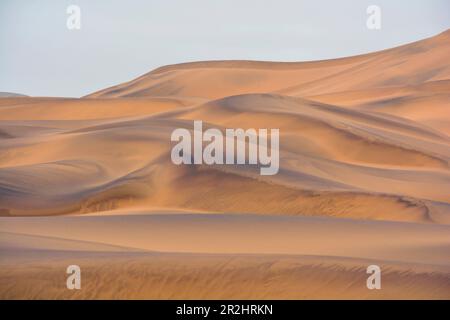 Namibia; Región de Erongo; Namibia central; Desierto de Namib cerca de Swakopmund; dunas de arena esculpidas por el viento Foto de stock