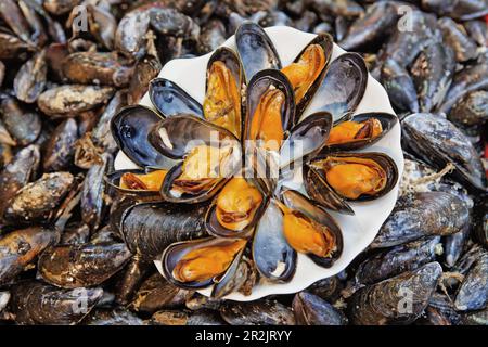 Visualización de mussles en el mercado de pescado en Trouville-sur-mer, Baja Normandía, Normandía, Francia Foto de stock