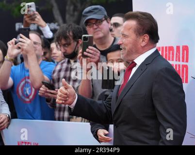 Arnold Schwarzenegger Llega Al Estreno De FUBAR Los Ángeles De Netflix ...