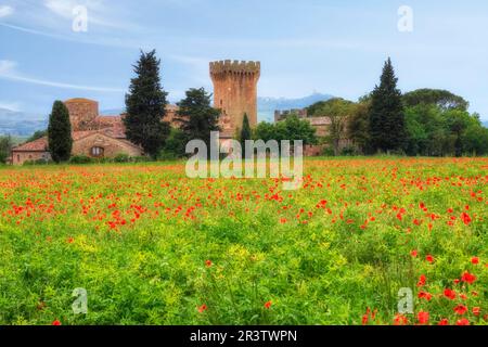 Spedaletto, Castillo, Pienza, Toscana, Italia Foto de stock