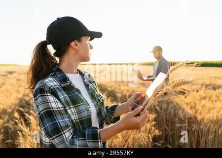 Un par de agricultores examina el campo de los cereales y envía datos a la nube desde la tableta digital y la computadora portátil. Foto de stock