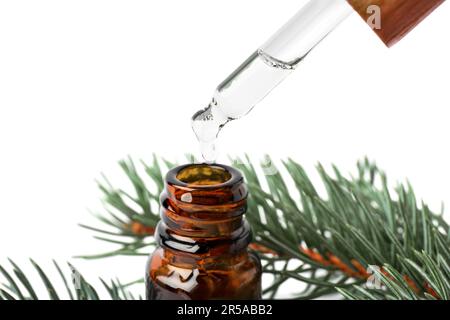 Goteo de aceite esencial de pino de la pipeta en la botella cerca de las ramas sobre fondo blanco, primer plano Foto de stock