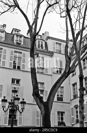 La Place de Furstenberg, donde Delacroix decidió vivir, es famosa por ser una de las plazas con más encanto de París Foto de stock