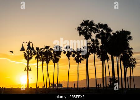 Venice Beach en Los Ángeles antes de la puesta del sol Foto de stock