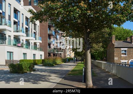 Nuevos apartamentos a lo largo de East Parkside, Greenwich, Londres Reino Unido, en verano Foto de stock