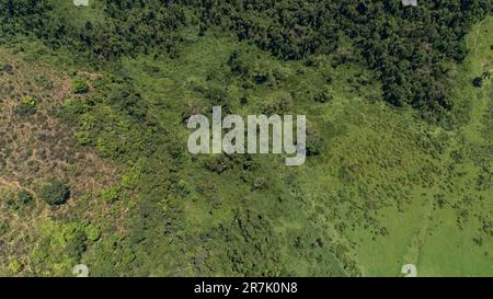 Vista aérea de tierras de pastos despejados y restos de bosque atlántico en el interior de Paraty, Costa Verde, Brasil Foto de stock