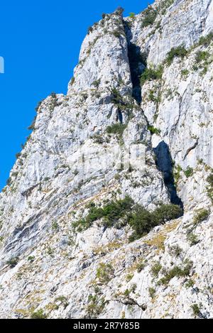 Los Picos de Europa son una cordillera de 20 km hacia el interior de la costa norte de España, en las Comunidades Autónomas de Asturias, Cantabria y. Foto de stock