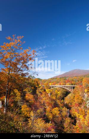 Naruko Gorge en otoño Foto de stock