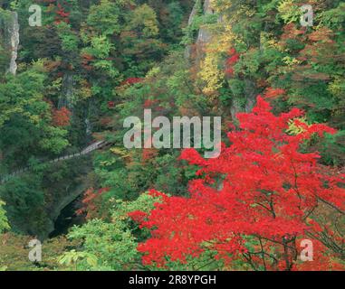 Naruko Gorge en otoño Foto de stock