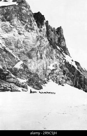 Candle, Alaska: 5 de julio de 1923 el explorador noruego Roald Amundsen con su equipo de trineos y perros fuera de Candle, la última ciudad en la ruta a Wainwright durante su expedición polar. Foto de stock