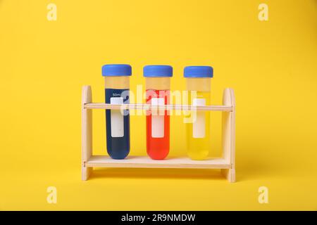 Tubos de ensayo con líquidos coloridos en soporte de madera sobre fondo amarillo. Conjunto de experimentos químicos para niños Foto de stock