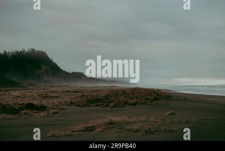 Playa en la costa de Oregon con niebla Foto de stock