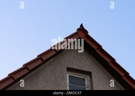 Verano. Un Starling está cantando mientras está sentado en el techo de una casa vieja, fondo de cielo azul. Serenata Skyline. Foto de stock