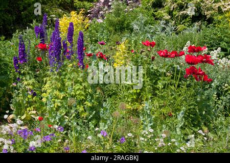 Casa de campo inglesa jardín de verano, Reino Unido Foto de stock