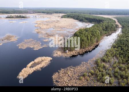 Europa, Polonia, Lublin Voivodeship, Lasy Janowskie / Janow Forests Landscape Park, Imielity Lug nature reserve, Staw Imielity Lug Foto de stock