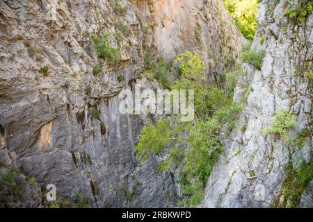 Cañón Sapadere en las montañas Tauro cerca de Alanya, Turquía Foto de stock