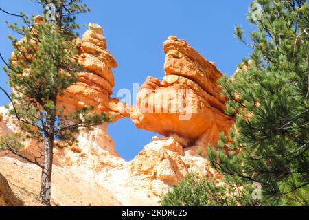 Un pequeño y extraño arco dentro de la piedra caliza del Parque Nacional Bryce Canyon, escondido en un bosque de abeto Douglas. Foto de stock
