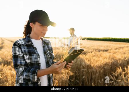 Pareja de agricultores examina el campo de los cereales. Foto de stock