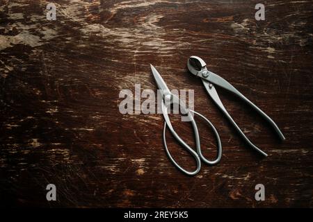 Herramientas Bonsai en una mesa de madera rústica vista superior en luz  natural. Tijeras Bonsai, cortador de alambre, cortador cóncavo y alicates  jin en acero inoxidable Fotografía de stock - Alamy