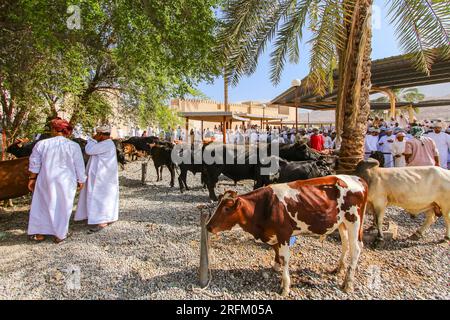 El famoso mercado de cabras en Nizwa es lugar de comercio de animales en Omán, Oriente Medio, Asia, 26 de septiembre, 2014 Foto de stock
