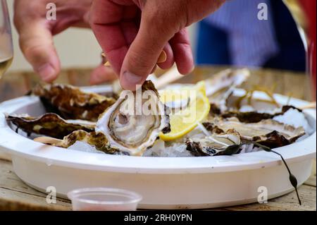 Moluscos de ostras Gillardeau franceses frescos cortados en hielo con limón listo para comer de cerca, Marienne-Oleron, Francia Foto de stock