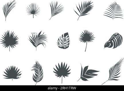 Siluetas de hojas de palma, vector de hojas de palma tropical, icono de hoja, silueta de hoja, vector de hoja de palma, hojas de palma SVG, deja la silueta Ilustración del Vector