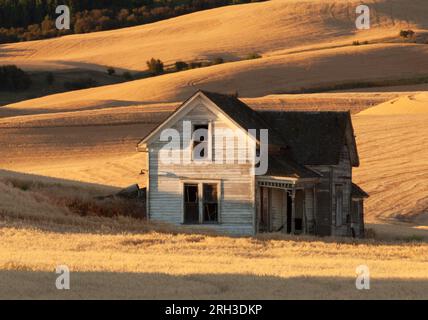 Granja abandonada y campos de trigo. Condado de Whitman, Washington, Estados Unidos. Foto de stock