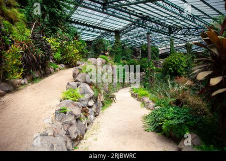 Lisboa, Portugal, 30 de julio de 2023: Invernadero de la Estufa Fria, jardines ubicados en el Parque Eduardo VII Foto de stock