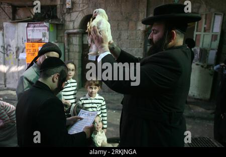 Bildnummer: 56150813 Datum: 05.10.2011 Copyright: Imago/Xinhua (111005) -- JERUSALÉN, 5 de octubre de 2011 (Xinhua) --Un hombre judío ultra ortodoxo sostiene un pollo durante el ritual de Kaparot antes de la fiesta de Yom Kippur en el barrio Mea Shearim de Jerusalén, 5 de octubre de 2011. Kaparot es una costumbre conectada a Yom Kippur, donde los pollos blancos son sacrificados como un gesto simbólico de expiación. Los pollos sacrificados son donados a los pobres. (Xinhua/Muammar Awad) MIDEAST-JERUSALEM-KAPAROT PUBLICATIONxNOTxINxCHN Gesellschaft Religion Judentum Orthodox Opfer Jom Kapores Huhn premiumd xbs x0x 2011 Foto de stock