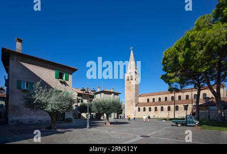 Olivos en Campo Patriarca Elia con Basílica Sant Eufemia, Grado, Friuli Venezia Giulia, Italia Foto de stock