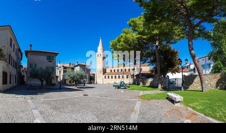 Olivos en Campo Patriarca Elia con Basílica Sant Eufemia, Grado, Friuli Venezia Giulia, Italia Foto de stock