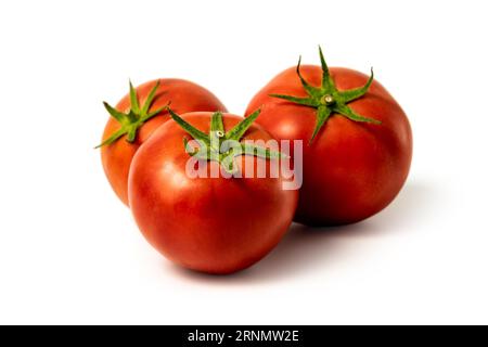 Tomate aislado. Tomates fondo blanco. Conjunto de tres tomatos. Con trayecto de recorte. Foto de stock