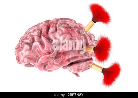 Cerebro humano con dardos tranquilizadores, representación 3D aislada sobre fondo blanco Foto de stock