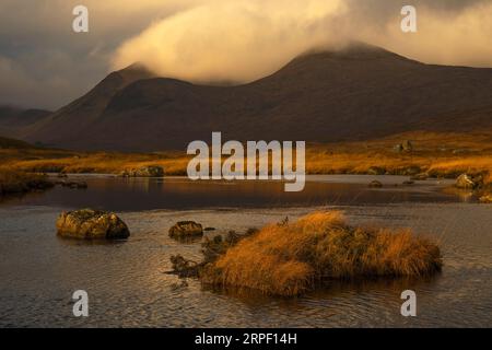 Luz de la mañana temprano y color de otoño en Rannoch Moor y el Monte Negro en otoño / invierno (noviembre) Rannoch Moor, Lochaber, Highlands, Escocia, Reino Unido Foto de stock
