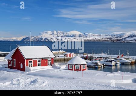 Noruega, Troms y Finnmark, Lysnes, Marina cubierta de nieve en la isla de Senja Foto de stock
