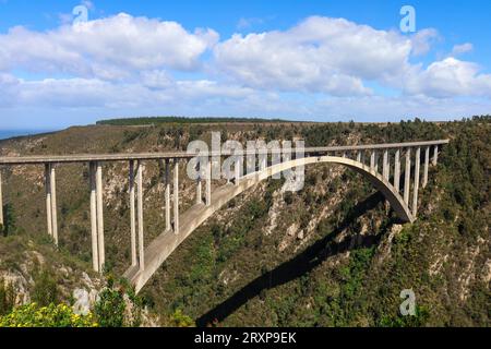 Bloukrans Bridge - uno de los saltos de bungee más altos del mundo Foto de stock