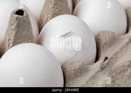 Huevo de pollo blanco con cáscara agrietada en cartón. Avicultura, calidad del huevo y concepto de inspección. Foto de stock