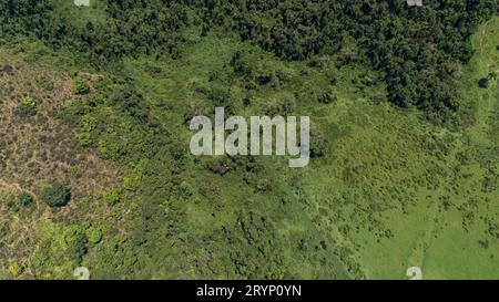 Vista aérea a la tierra de pastos despejados y los restos de bosque atlántico en el interior de Paraty, Green Foto de stock