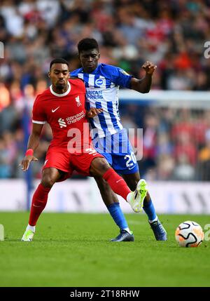 Carlos Baleba de Brighton y Hove Albion. - Chelsea v Brighton & Hove ...