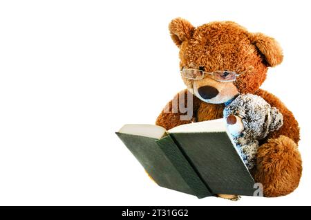 Esta es una foto de un oso de peluche con gafas y un pequeño oso leyendo un libro. Tiene piel marrón. El libro es verde con páginas blancas. Fondo blanco Foto de stock